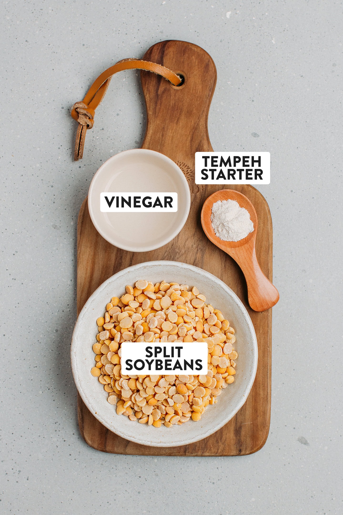 Ingredients like soybeans, vinegar, and tempeh starter.