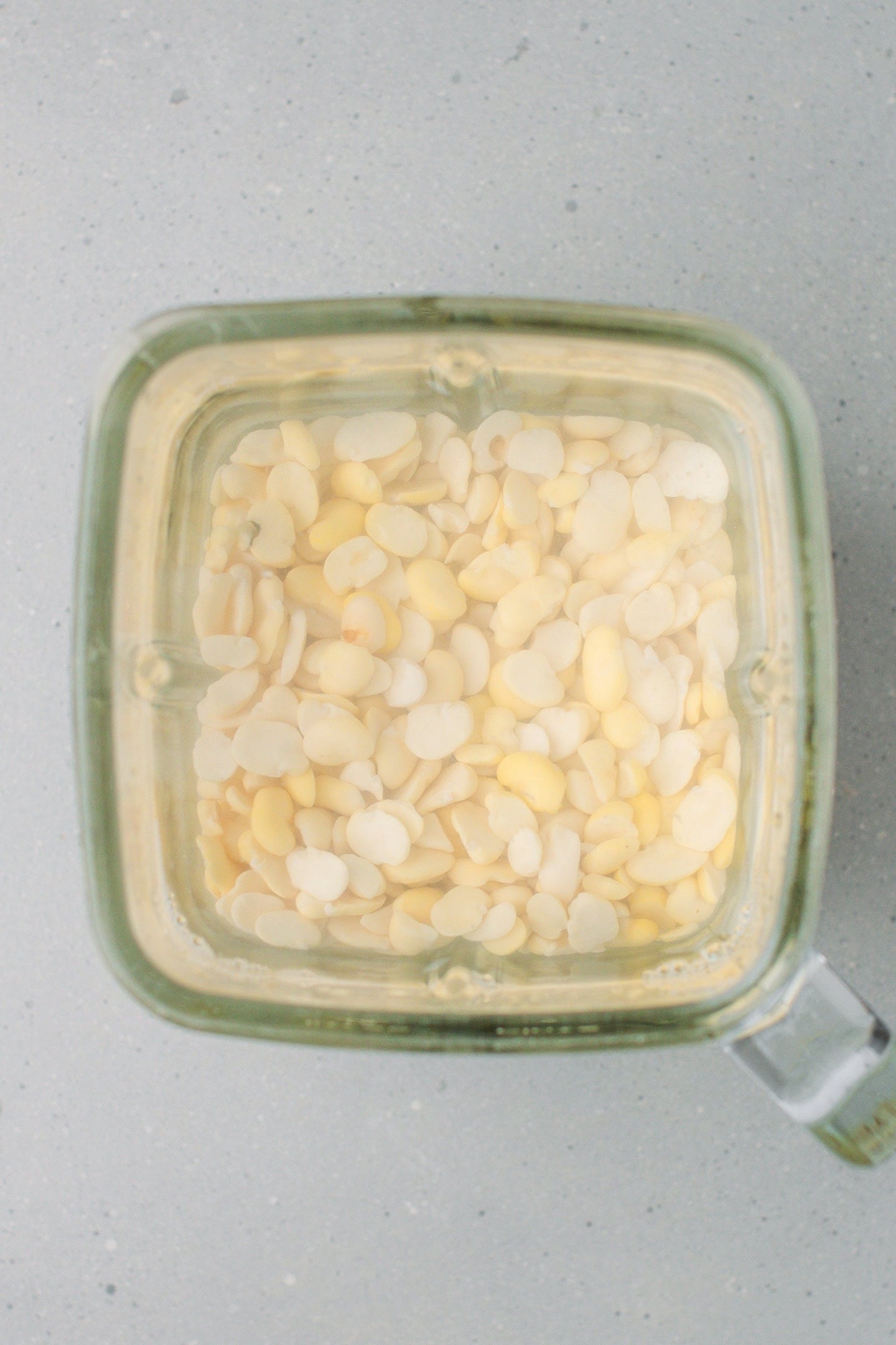 Fava beans and water in a blender.